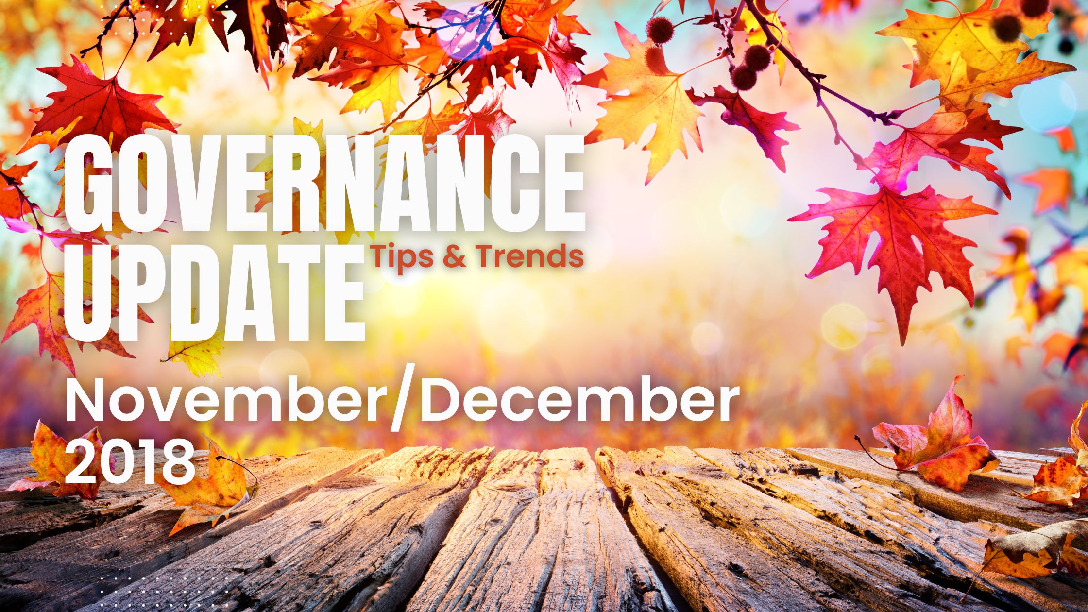 November-December Newsletter