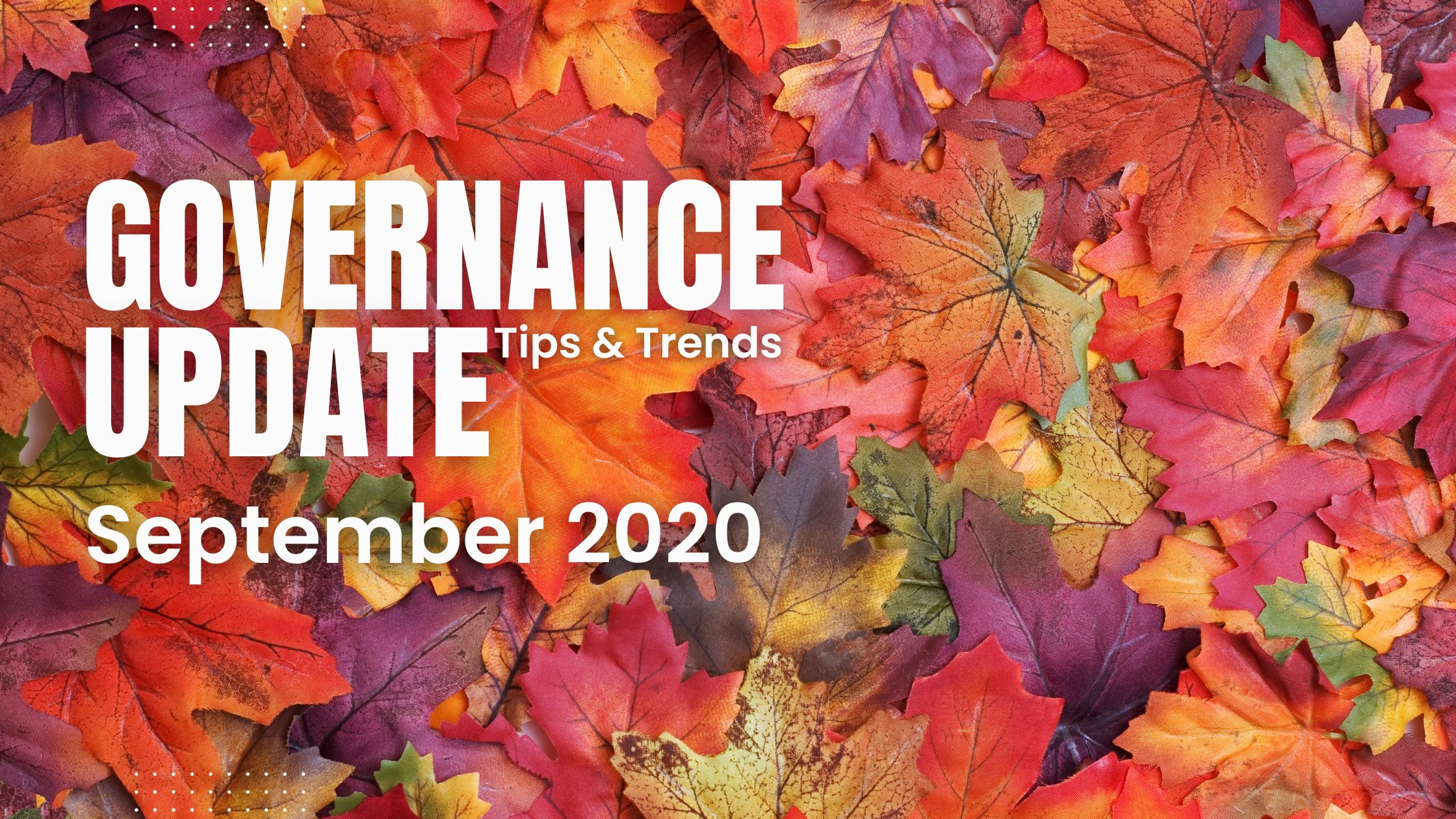 September Newsletter