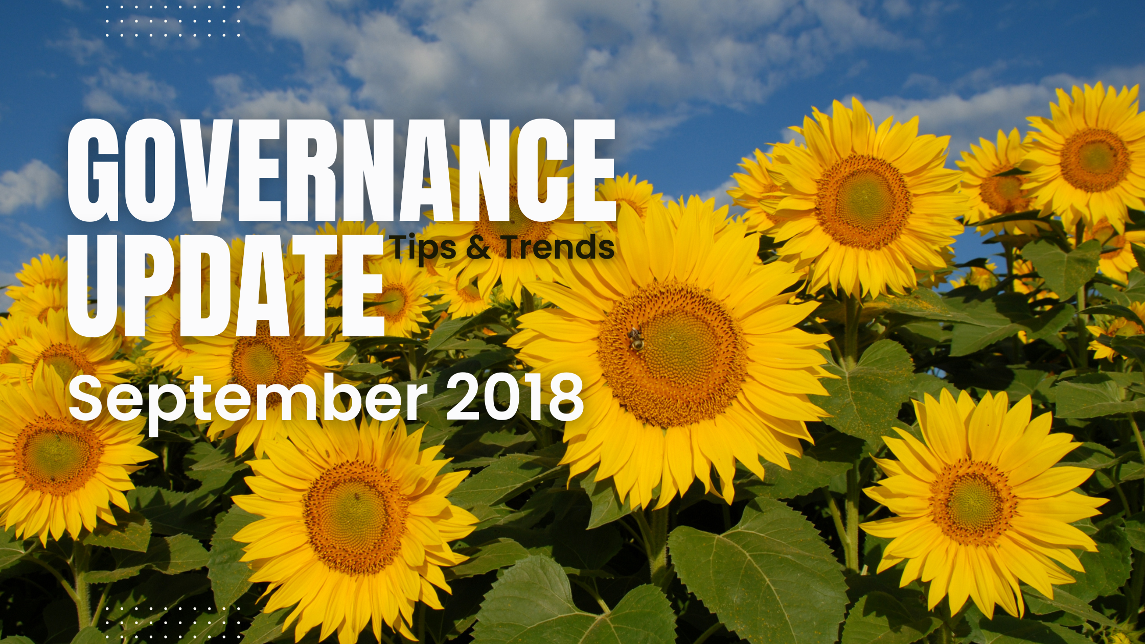 September Newsletter